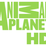 Animal Planet HD