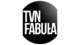 TVN Fabuła